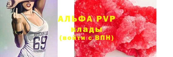 винт Алзамай