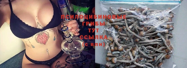 шишки Алексеевка