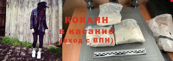 ПСИЛОЦИБИНОВЫЕ ГРИБЫ Алексин