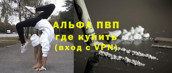 винт Алзамай