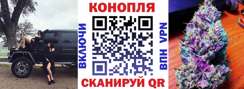 kraken вход  Старая Русса  Бошки Шишки планчик 